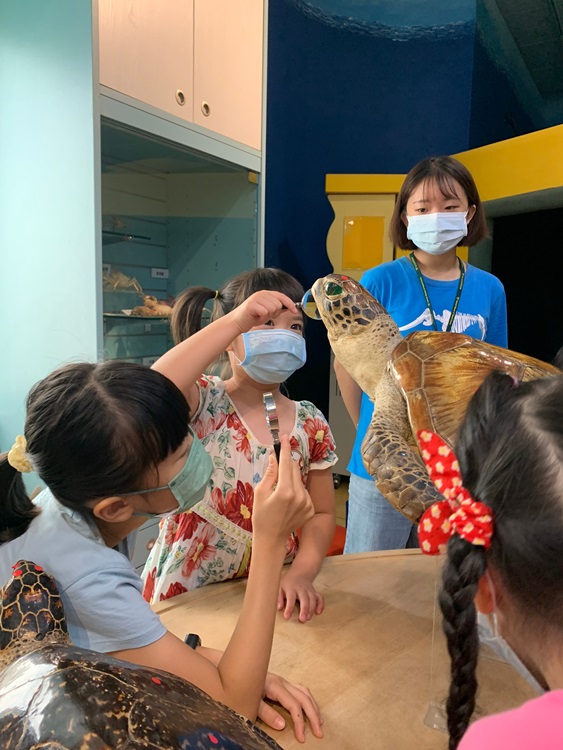 幼兒園：小海龜的超級任務(8/9-10)-圖片91