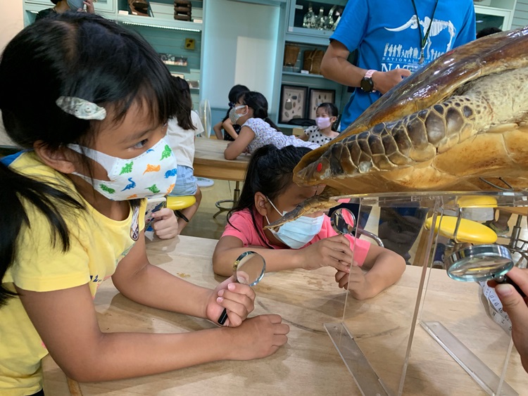 幼兒園：小海龜的超級任務(8/9-10)-圖片92