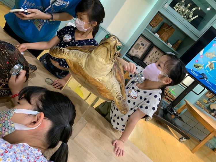 幼兒園：小海龜的超級任務(8/9-10)-圖片99