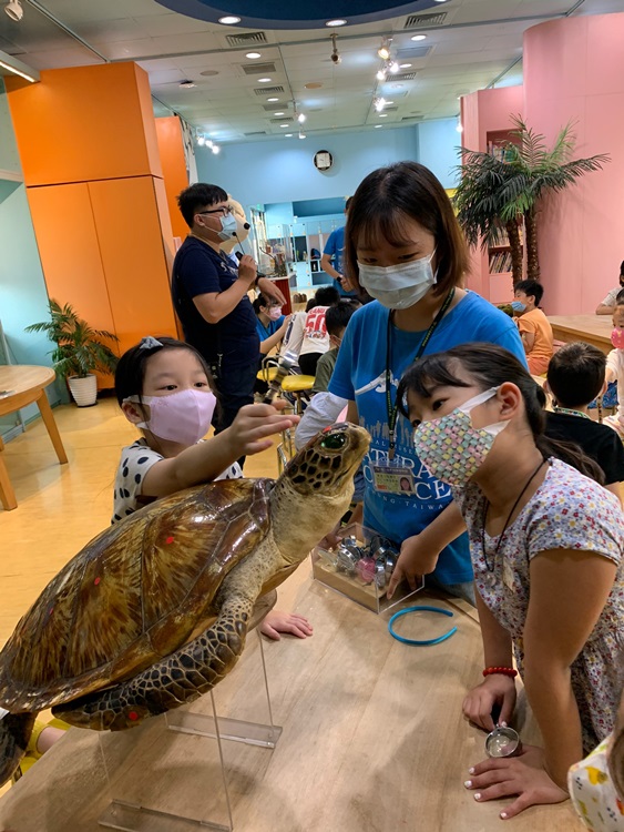 幼兒園：小海龜的超級任務(8/9-10)-圖片110