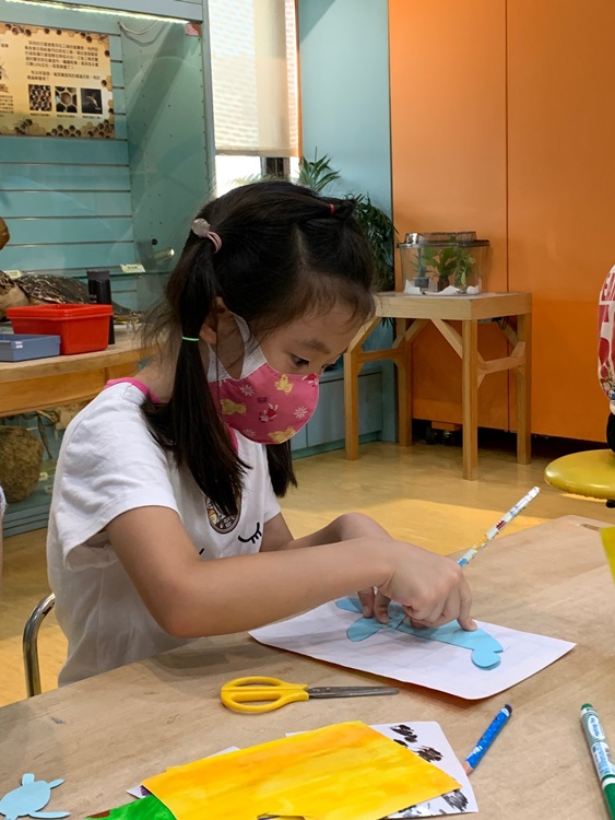 幼兒園：小海龜的超級任務(8/9-10)-圖片111