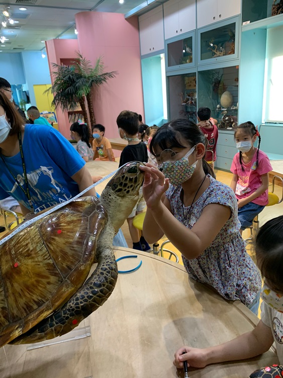幼兒園：小海龜的超級任務(8/9-10)-圖片121
