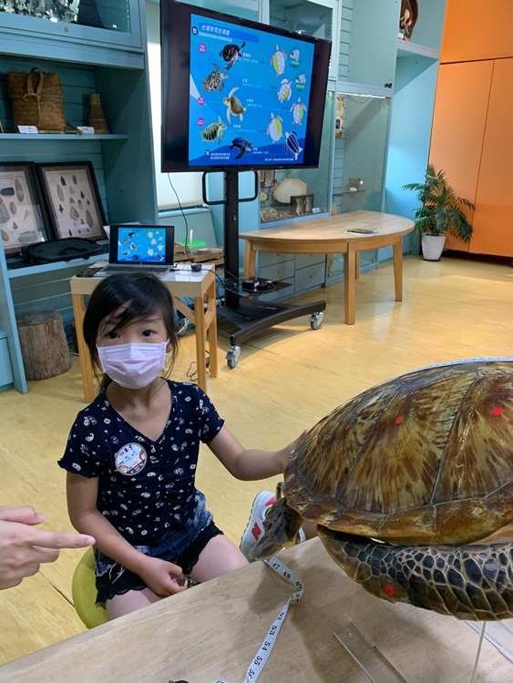 幼兒園：小海龜的超級任務(8/9-10)-圖片132