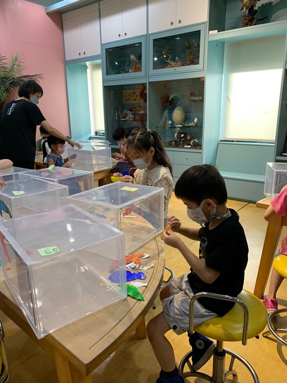 幼兒園：小海龜的超級任務(8/9-10)-圖片135