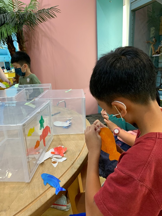 幼兒園：小海龜的超級任務(8/9-10)-圖片137