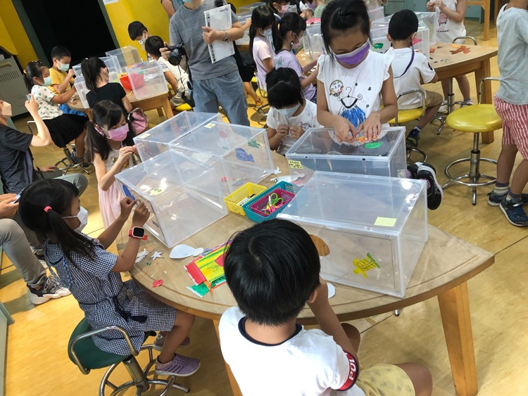 幼兒園：小海龜的超級任務(8/16-17)-圖片1