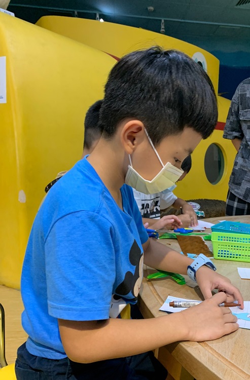 幼兒園：小海龜的超級任務(8/16-17)-圖片12