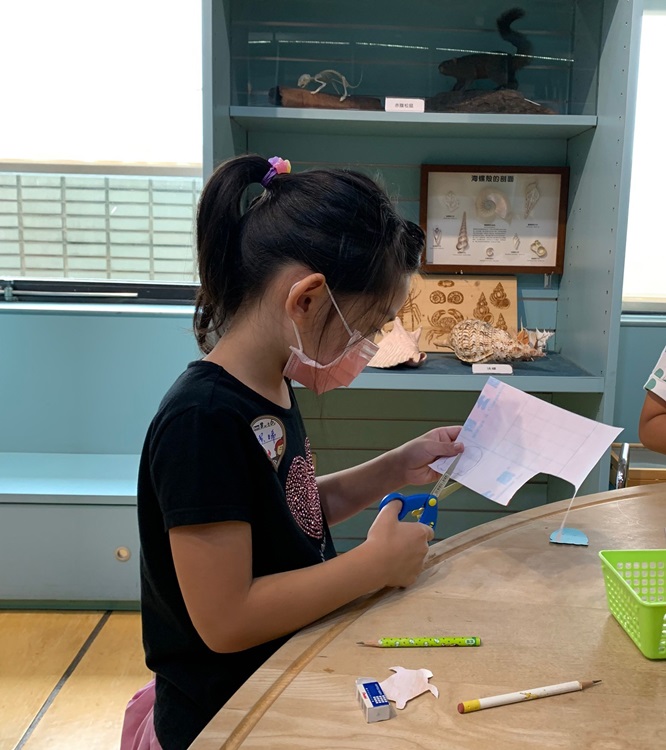 幼兒園：小海龜的超級任務(8/16-17)-圖片15