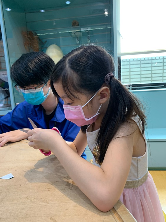 幼兒園：小海龜的超級任務(8/16-17)-圖片17