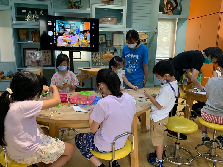 幼兒園：小海龜的超級任務(8/16-17)-圖片19