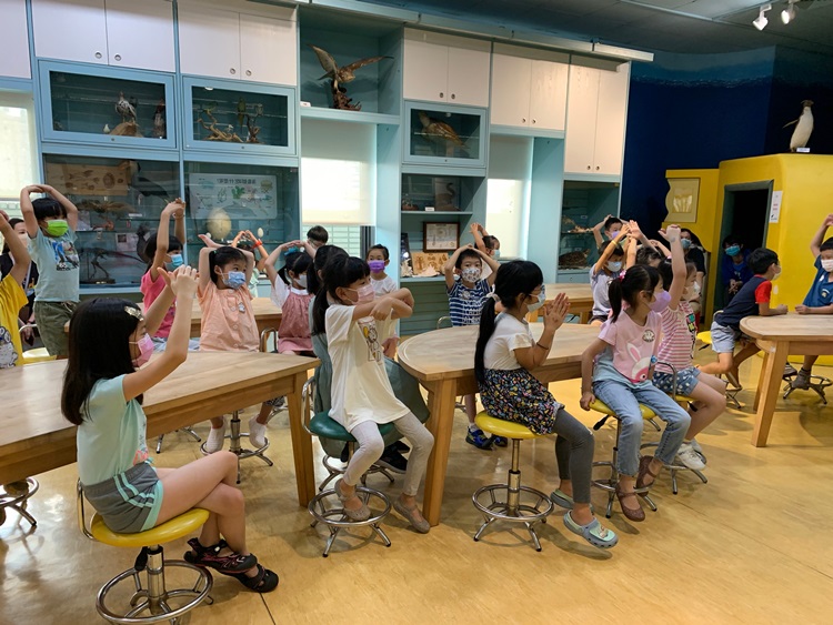 幼兒園：小海龜的超級任務(8/16-17)-圖片25
