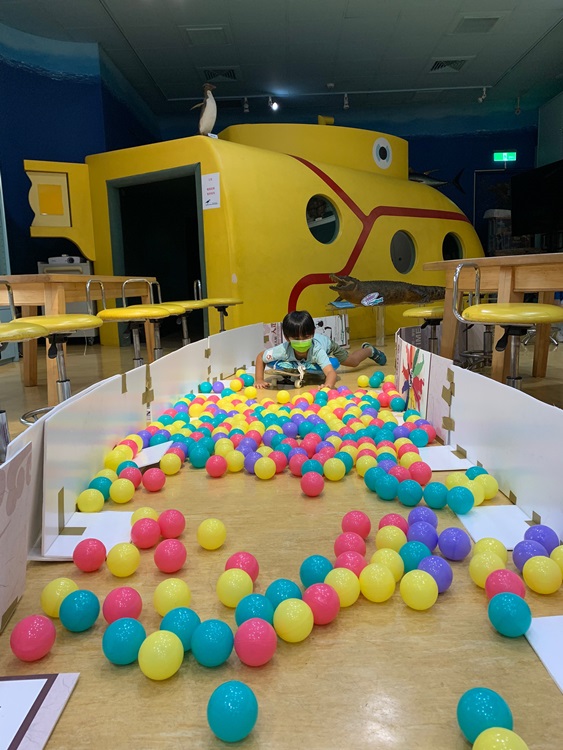 幼兒園：小海龜的超級任務(8/16-17)-圖片26