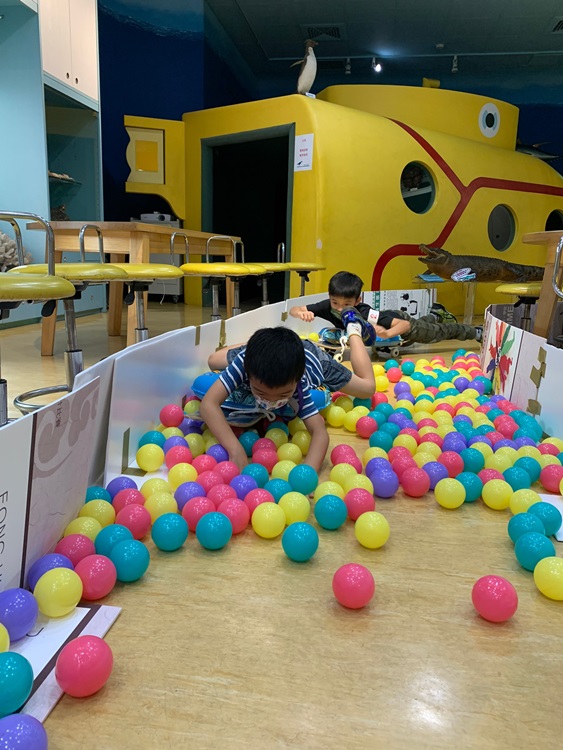 幼兒園：小海龜的超級任務(8/16-17)-圖片32