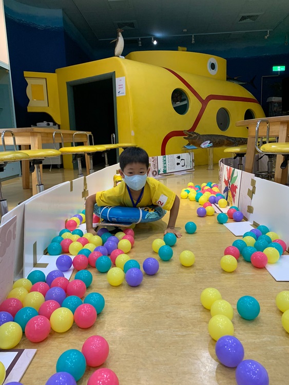 幼兒園：小海龜的超級任務(8/16-17)-圖片34