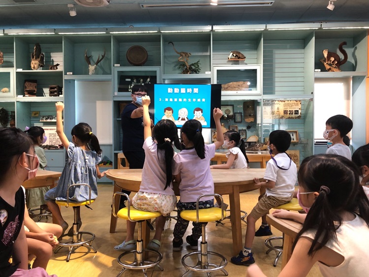 幼兒園：小海龜的超級任務(8/16-17)-圖片46