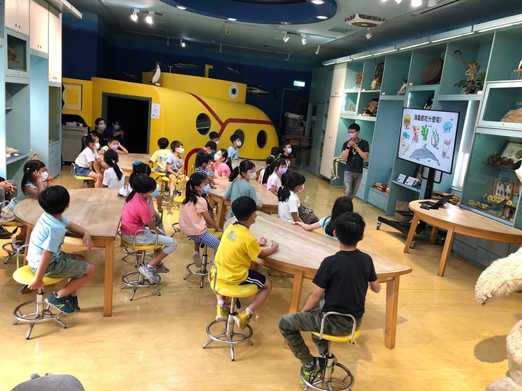 幼兒園：小海龜的超級任務(8/16-17)-圖片55