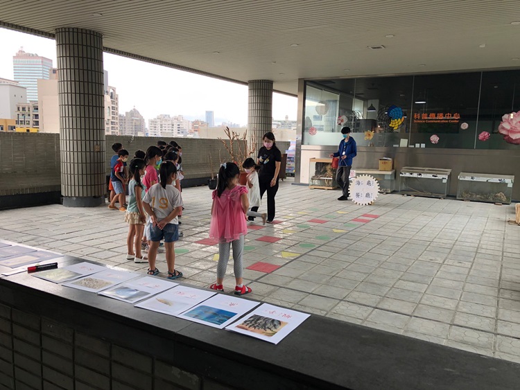 幼兒園：小海龜的超級任務(8/16-17)-圖片60