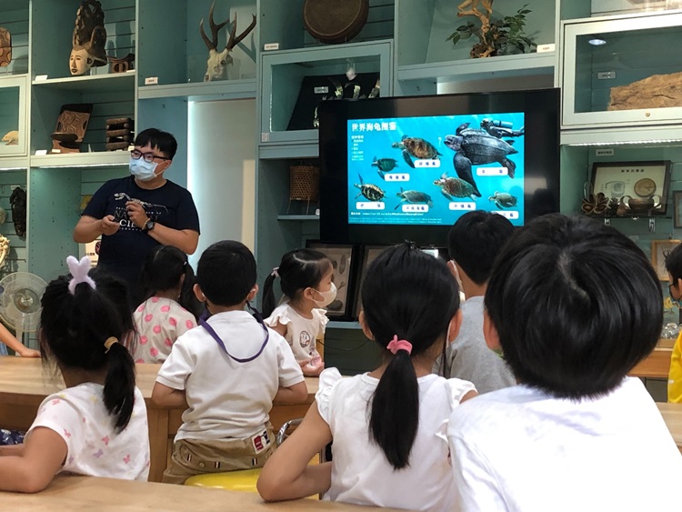幼兒園：小海龜的超級任務(8/16-17)-圖片79