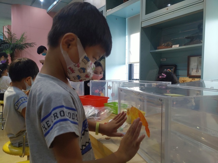 幼兒園：小海龜的超級任務(8/16-17)-圖片95