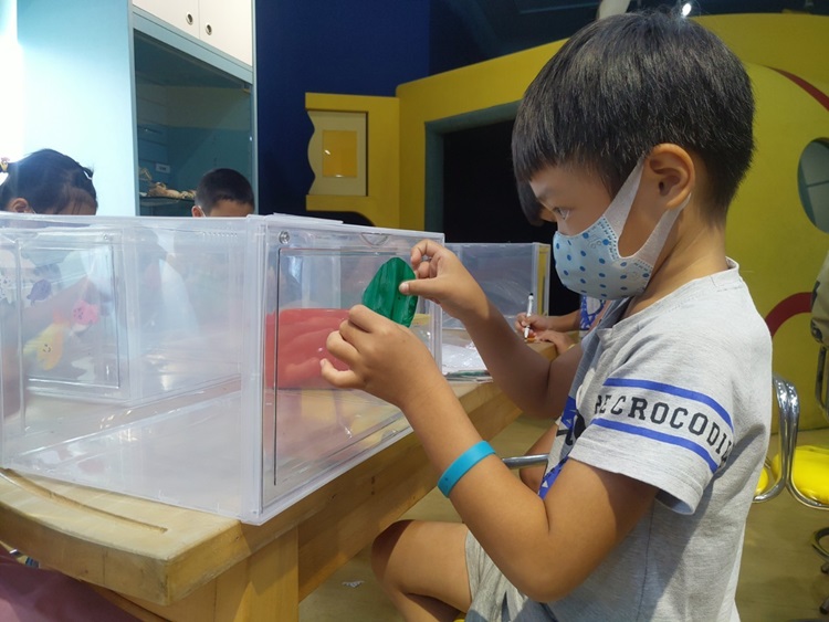 幼兒園：小海龜的超級任務(8/16-17)-圖片96