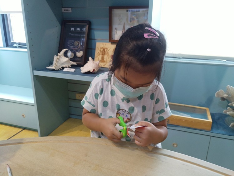 幼兒園：小海龜的超級任務(8/16-17)-圖片102
