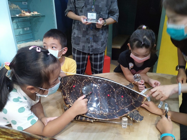 幼兒園：小海龜的超級任務(8/16-17)-圖片107