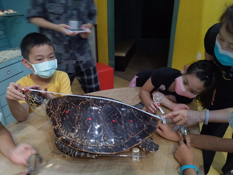 幼兒園：小海龜的超級任務(8/16-17)-圖片108