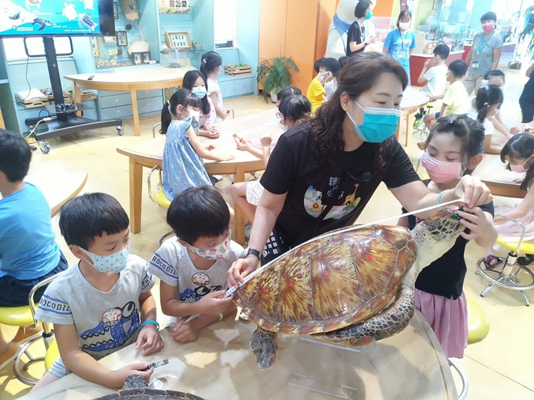幼兒園：小海龜的超級任務(8/16-17)-圖片109
