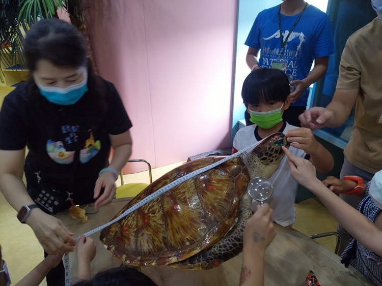 幼兒園：小海龜的超級任務(8/16-17)-圖片110