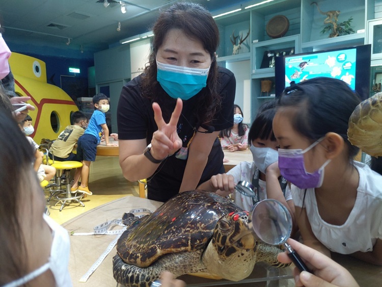 幼兒園：小海龜的超級任務(8/16-17)-圖片111