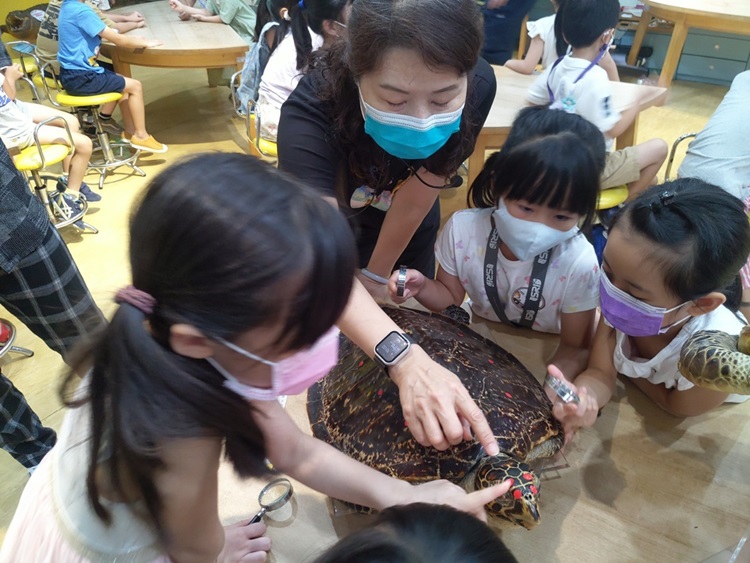 幼兒園：小海龜的超級任務(8/16-17)-圖片114