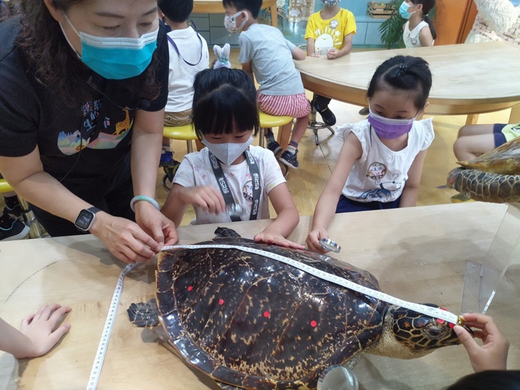 幼兒園：小海龜的超級任務(8/16-17)-圖片115