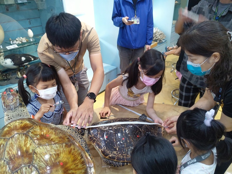 幼兒園：小海龜的超級任務(8/16-17)-圖片116