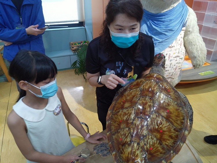 幼兒園：小海龜的超級任務(8/16-17)-圖片117