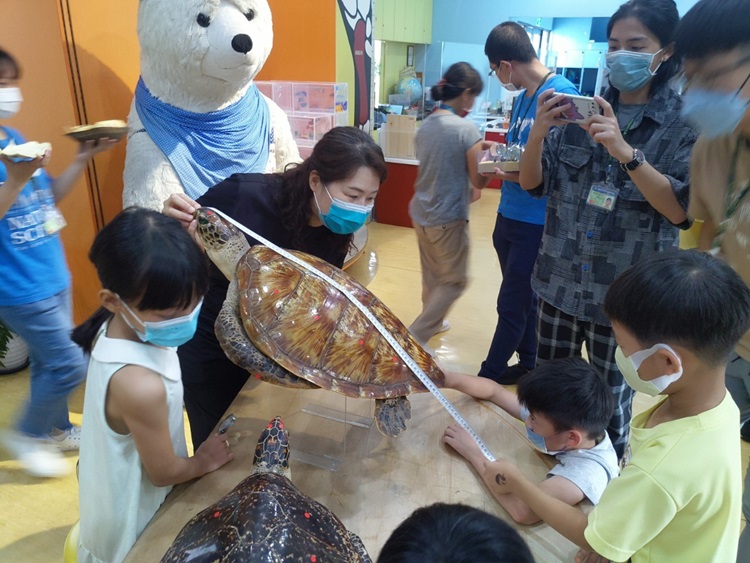 幼兒園：小海龜的超級任務(8/16-17)-圖片118