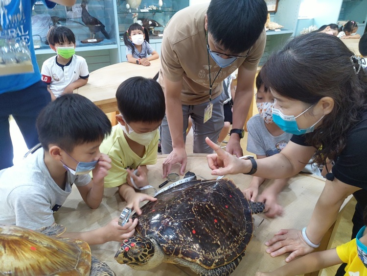 幼兒園：小海龜的超級任務(8/16-17)-圖片119