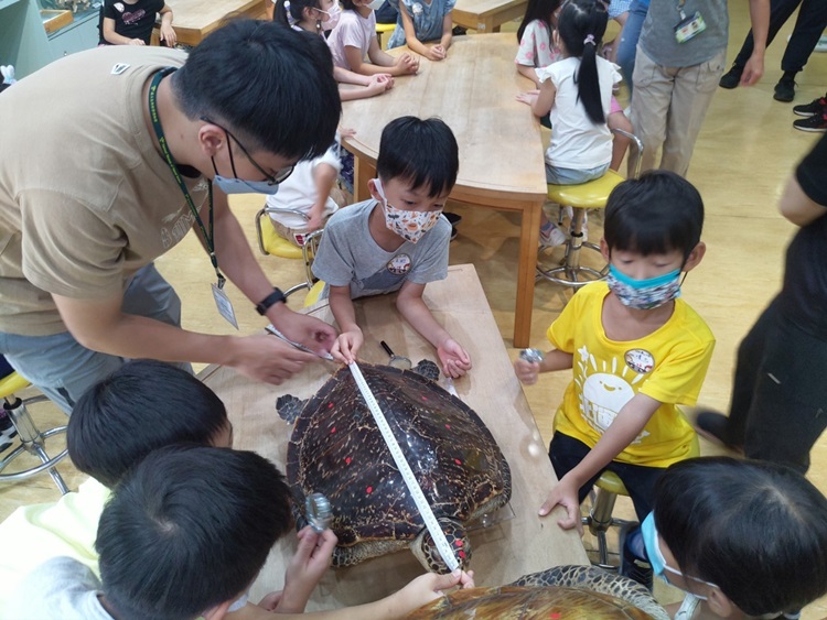 幼兒園：小海龜的超級任務(8/16-17)-圖片120
