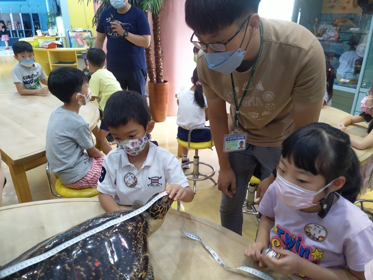 幼兒園：小海龜的超級任務(8/16-17)-圖片121