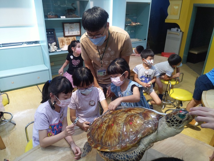 幼兒園：小海龜的超級任務(8/16-17)-圖片122