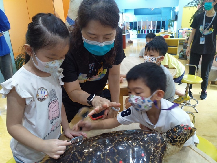 幼兒園：小海龜的超級任務(8/16-17)-圖片123
