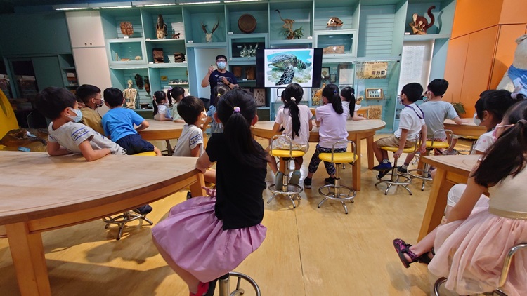 幼兒園：小海龜的超級任務(8/16-17)-圖片124
