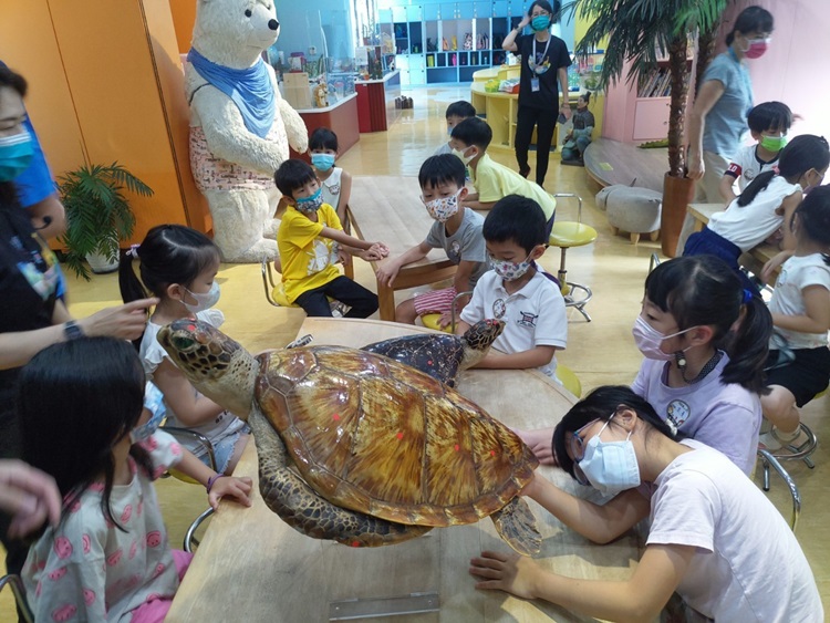 幼兒園：小海龜的超級任務(8/16-17)-圖片125