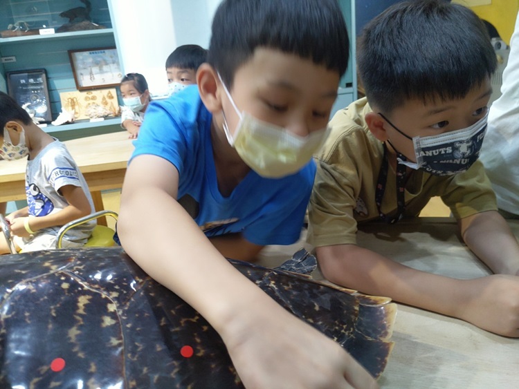 幼兒園：小海龜的超級任務(8/16-17)-圖片126