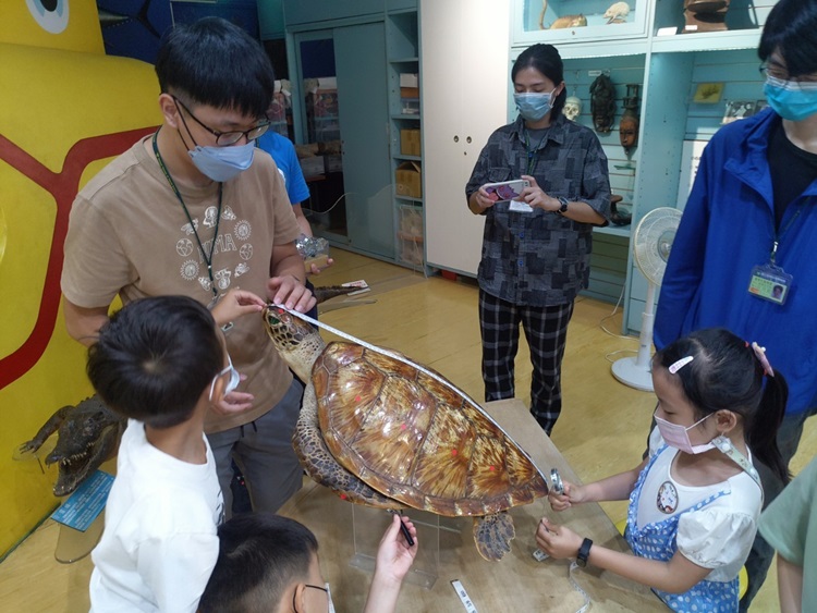 幼兒園：小海龜的超級任務(8/16-17)-圖片127