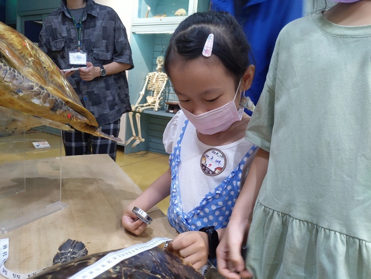 幼兒園：小海龜的超級任務(8/16-17)-圖片128