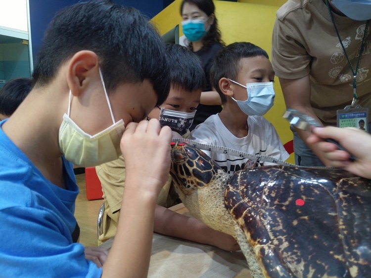 幼兒園：小海龜的超級任務(8/16-17)-圖片129