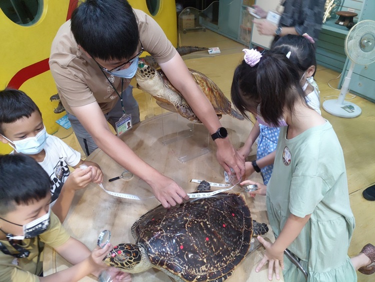 幼兒園：小海龜的超級任務(8/16-17)-圖片130