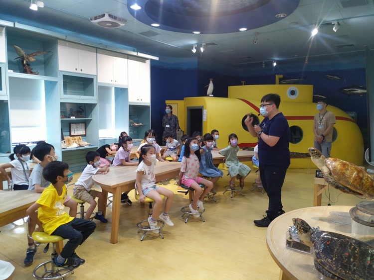 幼兒園：小海龜的超級任務(8/16-17)-圖片134