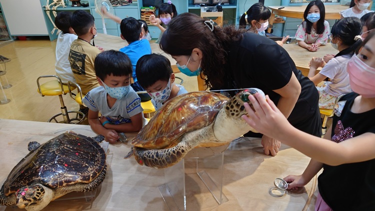 幼兒園：小海龜的超級任務(8/16-17)-圖片135