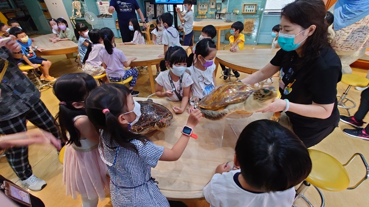 幼兒園：小海龜的超級任務(8/16-17)-圖片146